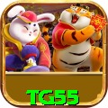 tg55 Slots Premium v2.4.0